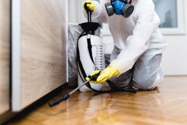Best Pest Control for Restaurants  in Gravette, AR