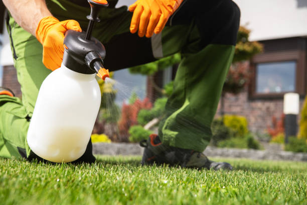 Best Residential Pest Control  in Gravette, AR