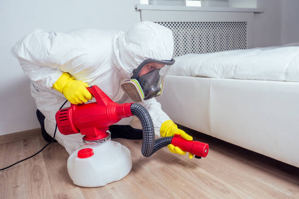 Best Best Pest Control Companies  in Gravette, AR