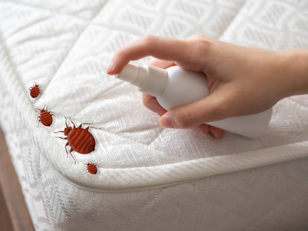 Gravette, AR Pest Control Company