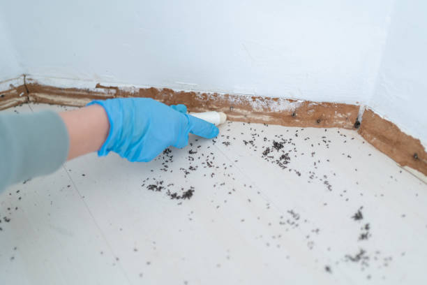 Best Affordable Pest Control Services  in Gravette, AR